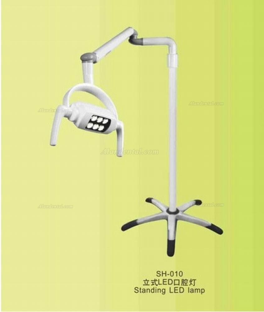 Dental Operating Oral Lamp Mobile Standing LED Light SH-010 OCV 110V/220V